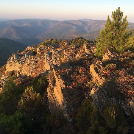 The Nut House Villa La Garde-Freinet Bagian luar foto