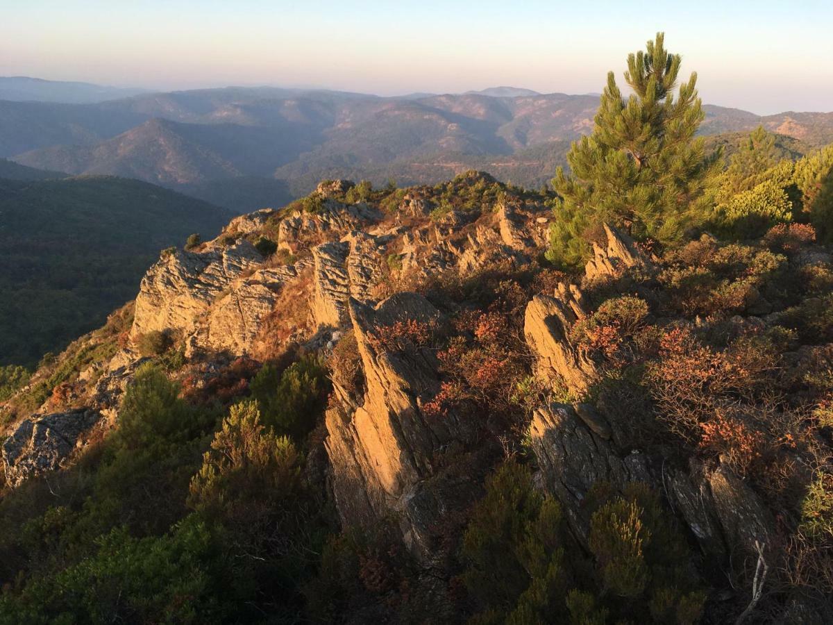 The Nut House Villa La Garde-Freinet Bagian luar foto